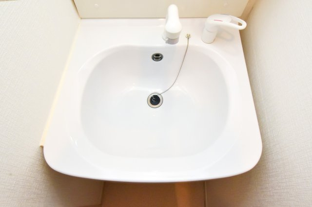 サヴォイコートオブアームズ　8階の独立洗面台|別号室のものです。現状優先になります。