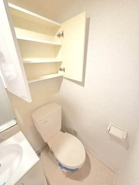 アルテーシアのトイレ