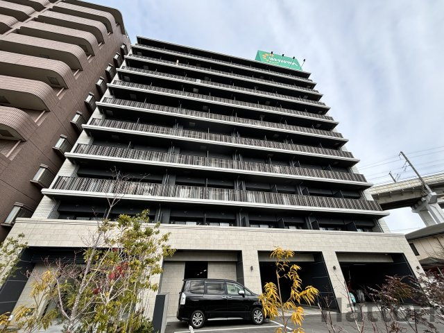 スプランディッドVIII(エイト)