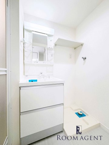 テラス吹上の洗面所