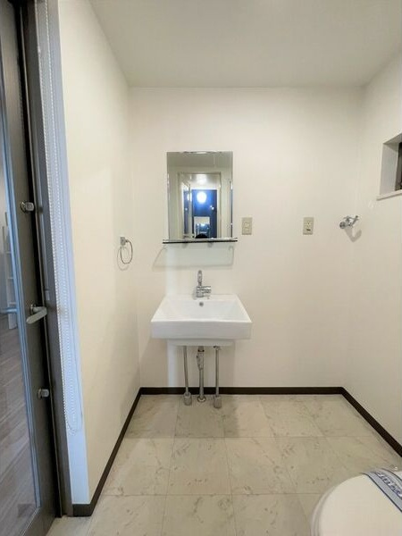 フォルテ桜山の洗面所