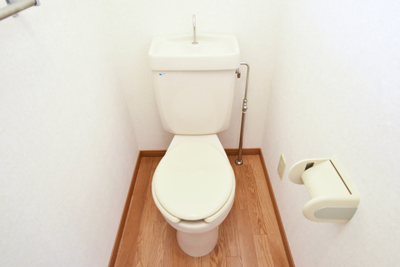 龍球園ハイツ【キャッシュバック対象物件】のトイレ|落ち着いたトイレです