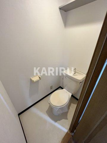 メゾンshinmoriのトイレ|落ち着いたトイレです