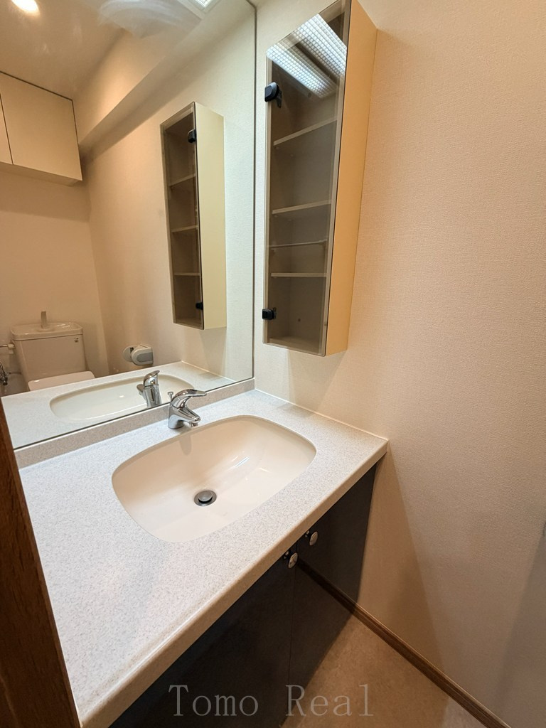 秀和溜池山王レジデンスの洗面所