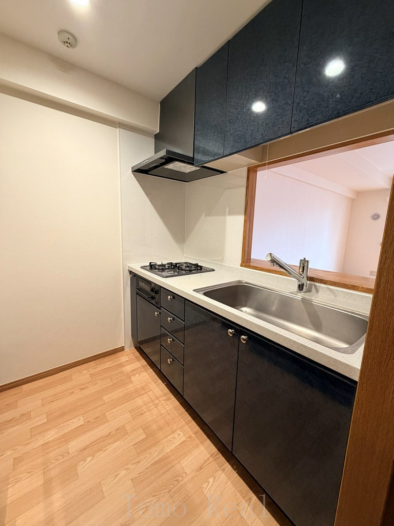 秀和溜池山王レジデンスのキッチン