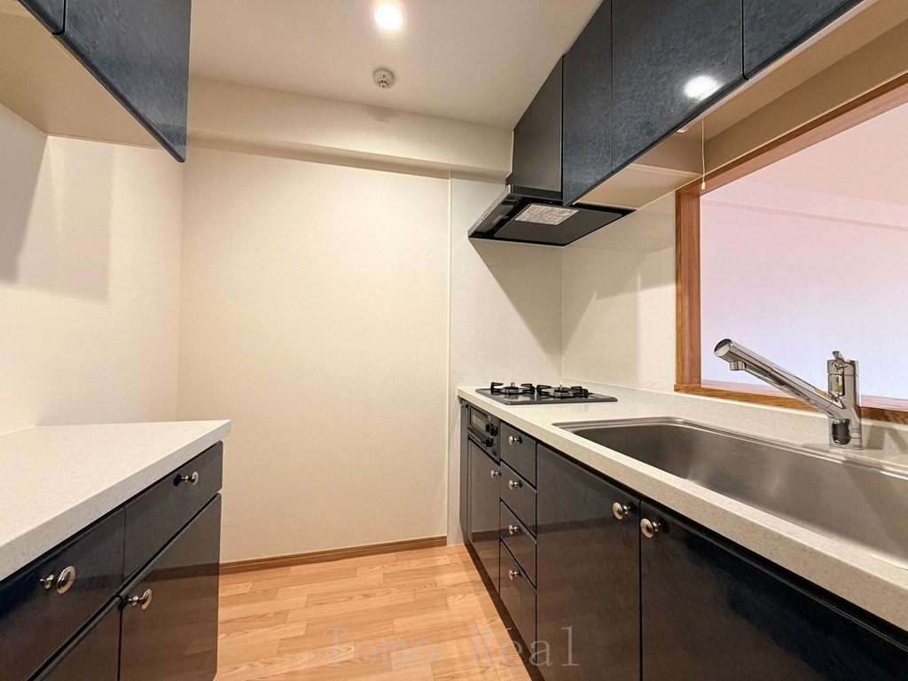 秀和溜池山王レジデンスのキッチン