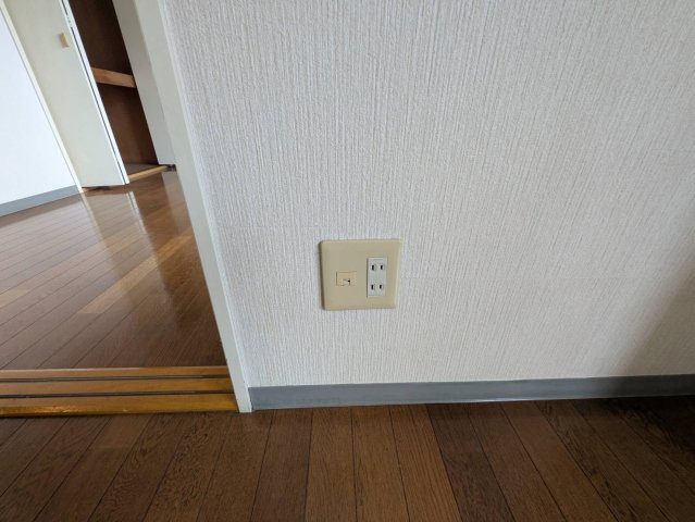 ハイリードセイフウのその他