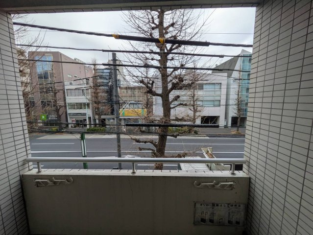 ハイリードセイフウの展望