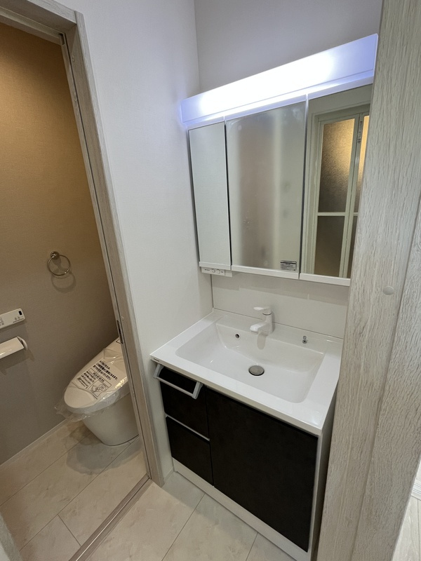 Casa Simpatia Koganeiの洗面所