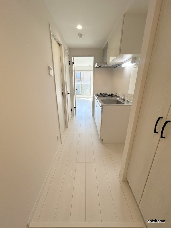 プルメリア関大前　仲介手数料無料の内装