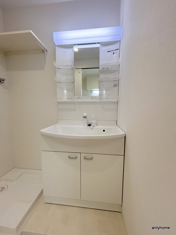 プルメリア関大前　仲介手数料無料の洗面所