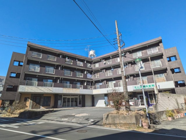 シティパレスアカネの外観