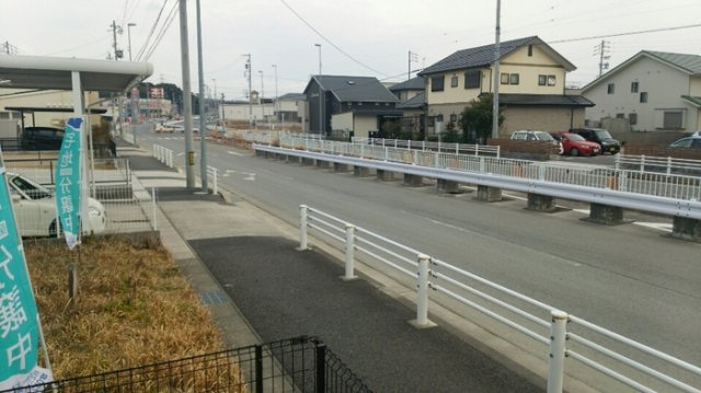 カメリア Iのその他