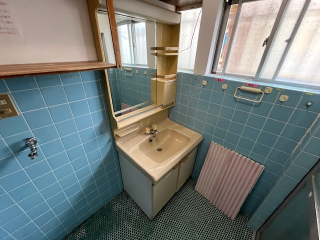 河内⻑野市北⻘葉台貸家の独立洗面台