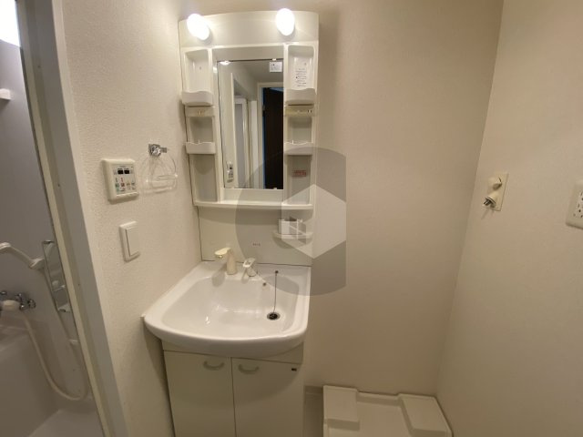 CASSIA高井田NouthCourtの独立洗面台