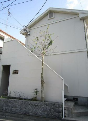 新井ハイツ(アライハイツ)