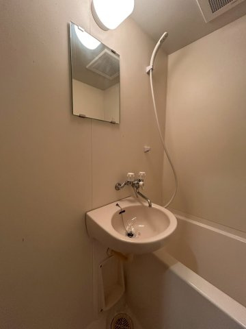 クレセール阿波座の洗面所