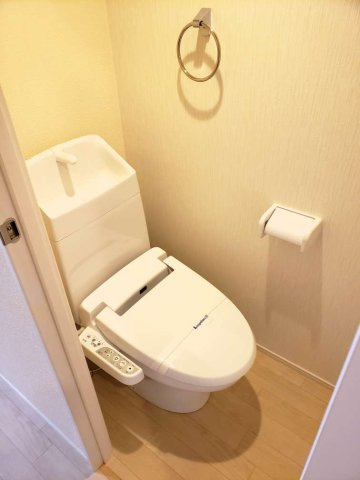 ミランダヴェルデのその他