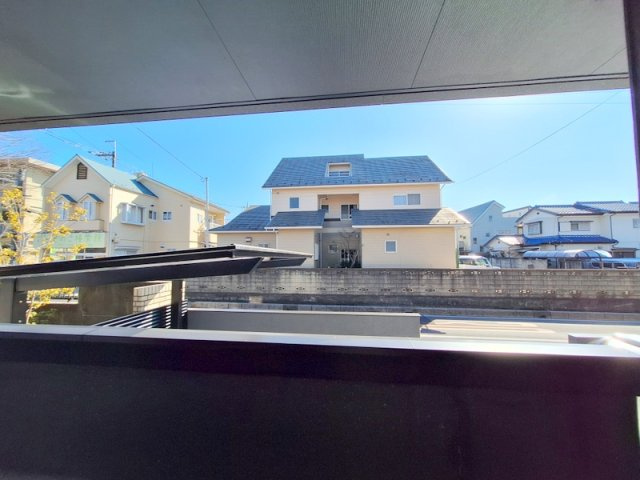 ＰＡＬＡＩＳ　ＲＡＦＦＩＮＥの展望