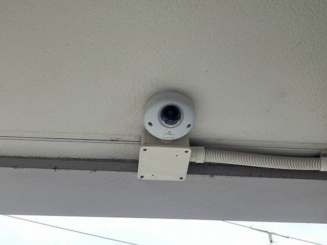 レオパレスアニマリートのその他