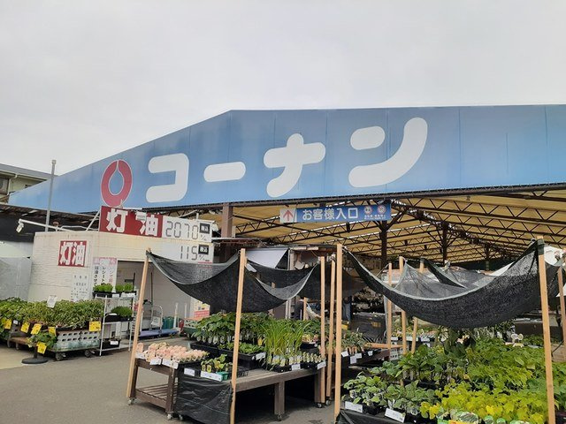 ファミールの周辺|コーナン泉大津店まで450m