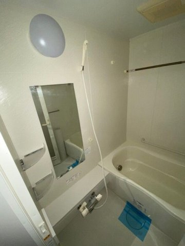 ネオマイム新御徒町Ⅱの浴室