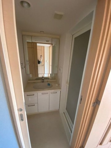 ネオマイム新御徒町Ⅱの洗面所