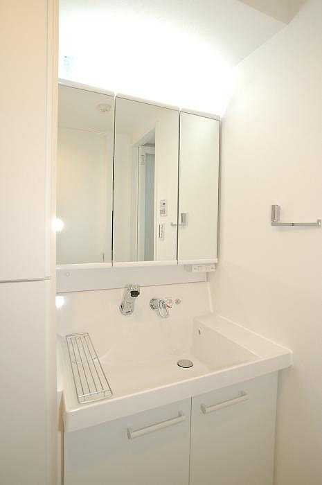 ステージグランデ錦糸町の洗面所