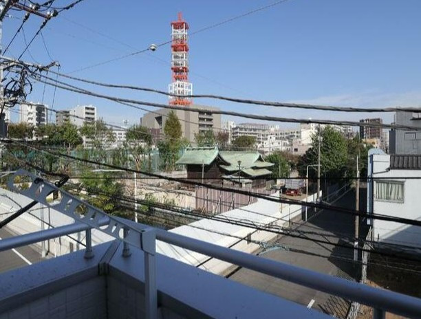 ルピナス清川の展望