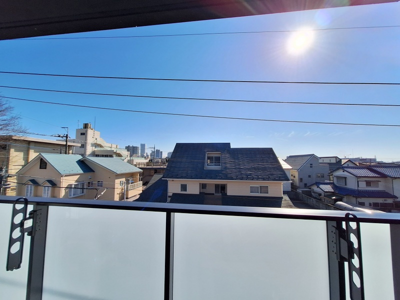 ＰＡＬＡＩＳ　ＲＡＦＦＩＮＥの展望