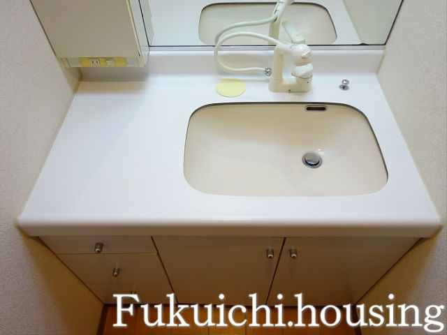 リズ松原Ⅱの洗面所