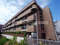 アルブルの画像