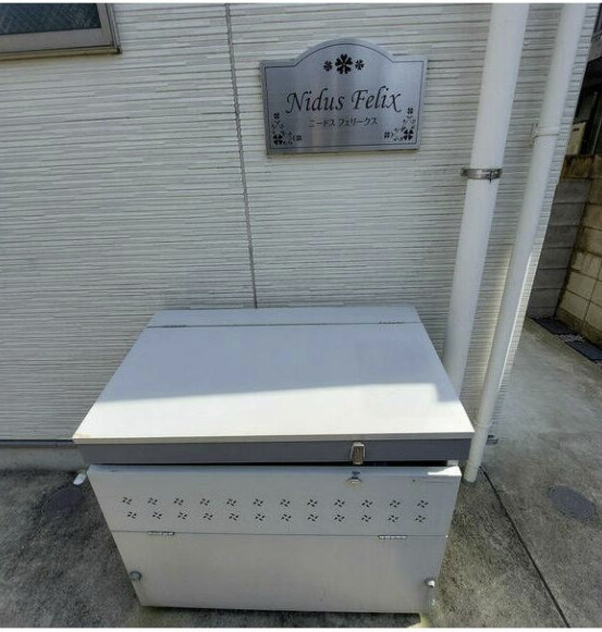 Nidus Felixのその他