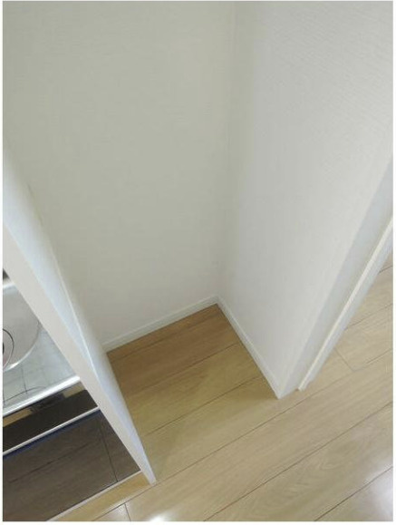 Nidus Felixのその他