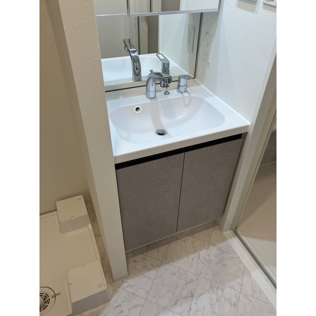 ACP Residence 亀戸の洗面所