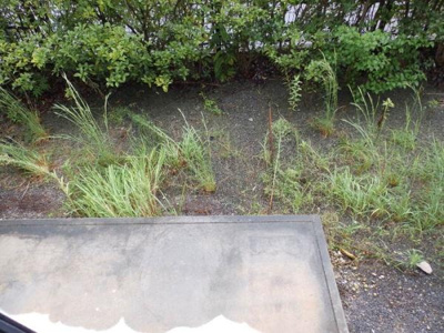 【その他】 | センチュリーヒル