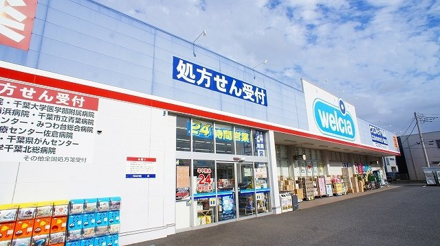 ハピネスⅠ番館の周辺|ウェルシアまで1080m