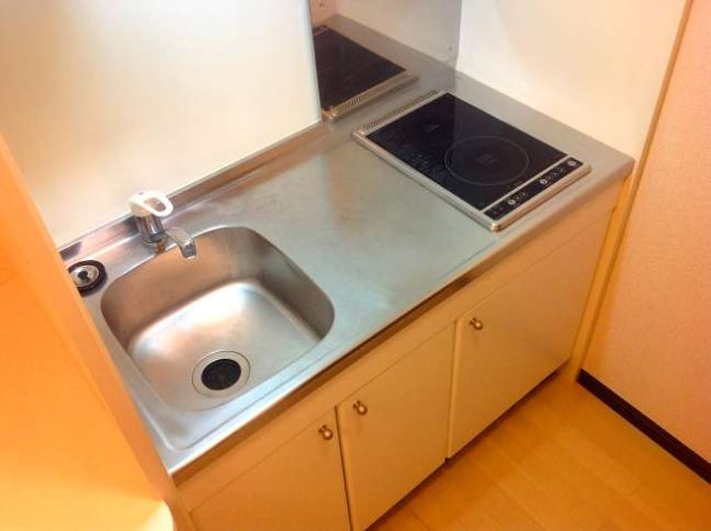 レオネクストプレジャーライフのキッチン