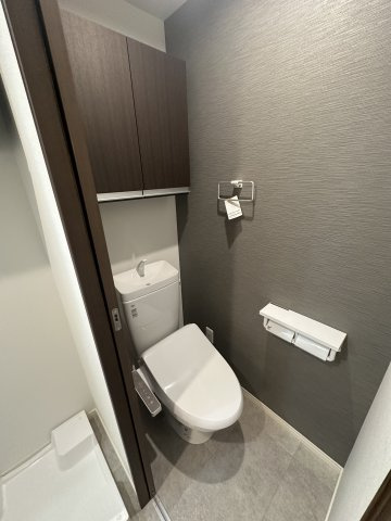 ベイルームヒルズ三ツ境のトイレ|同施工タイプ