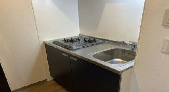 【メリー新今里】　大阪市生野区1棟収益マンション「今里駅徒歩8分」「2016年築」のキッチン