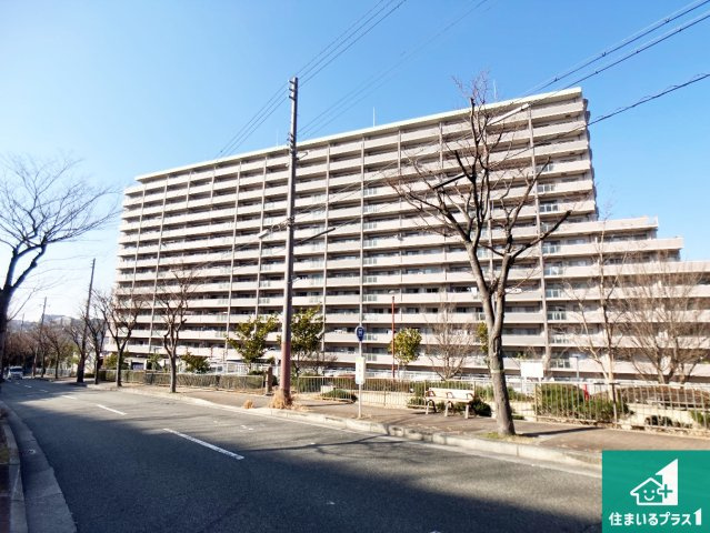 ウインヒルズジェームス山