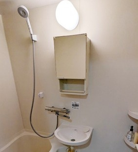 リリーパレスナルシマⅢの洗面所