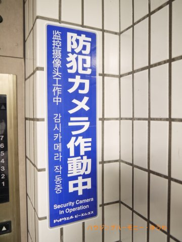【その他共用部分】 | 常盤台ダイカンプラザシティ | 防犯カメラが２４時間監視しています。