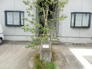 【エントランス】 | WINS 弐番館 | アパート名が載っている石碑です。