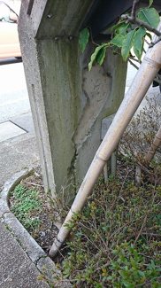 【外観】 | WINS 弐番館 | 石碑の裏には・・・なんとびわ湖が！