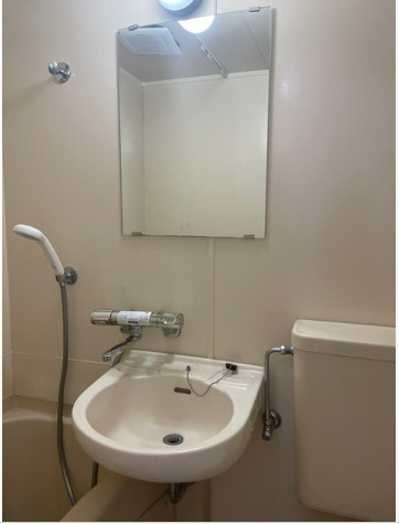 メゾン・ド・レクトゥールの洗面所|明るい洗面所です