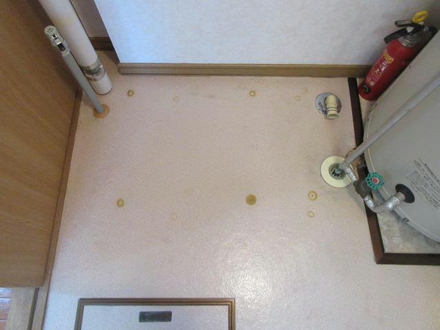 グラシア613の洗面所