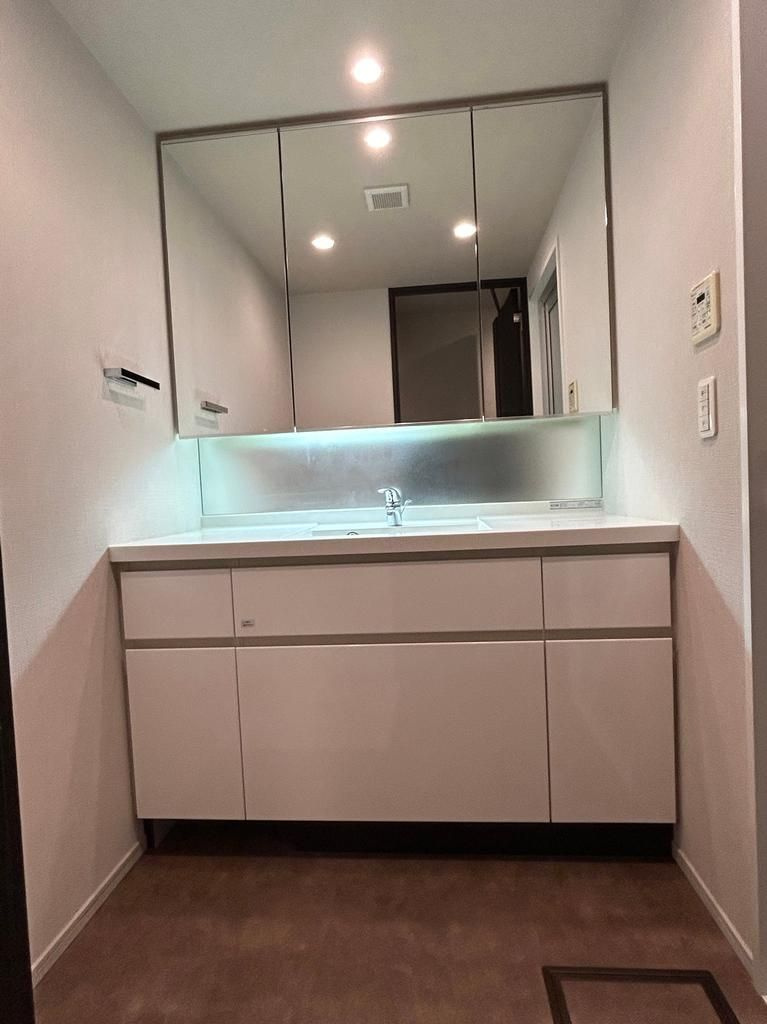 ブランズタワー南千住の洗面所