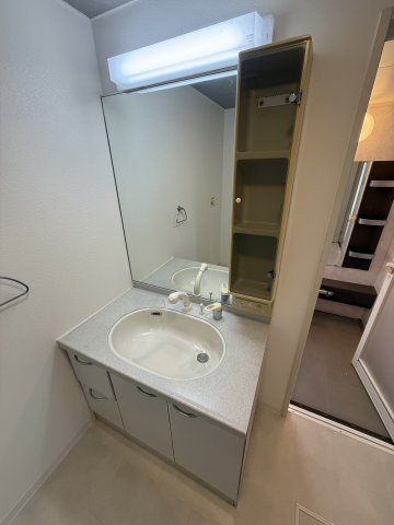 スカイビュー雄湊の洗面所