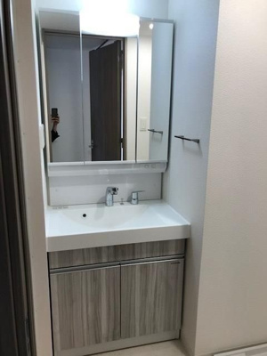 【洗面所】 | S-RESIDENCE神田avance（エスレジデンス神田アバンス）